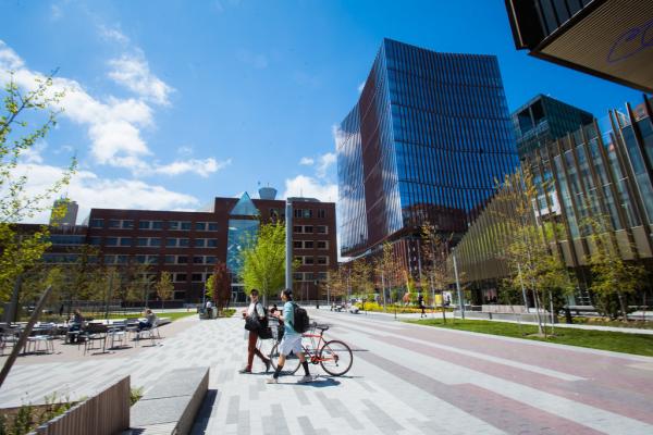 The MIT campus. 
